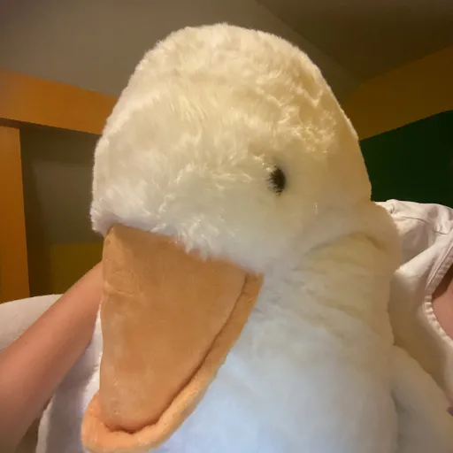 creator LanguageNerd's avatar