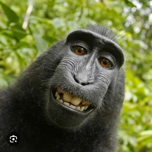 creator Mr. walkertalker's avatar
