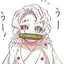 creator rui ayaki ᯓᡣ𐭩's avatar