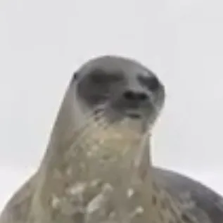 creator Talkior-lEcjcNRC's avatar