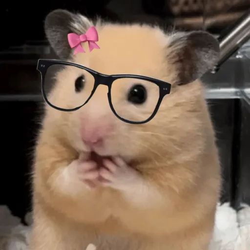 creator Muehehhehe's avatar