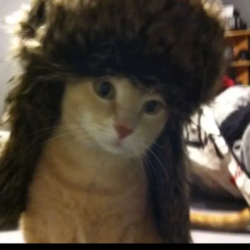 creator russianKITTY!'s avatar