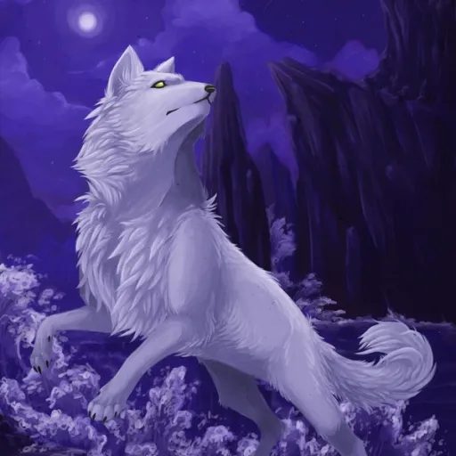 creator Fenus's avatar