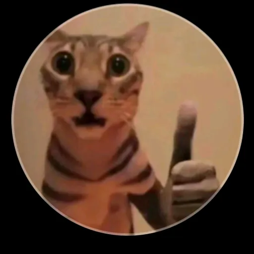 creator p1x3l_p4rt7's avatar