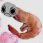 creator Shirmp_the shit's avatar