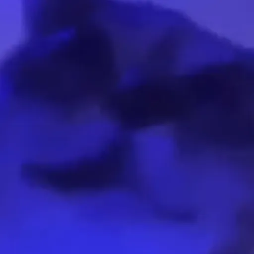 creator InsanityCat's avatar