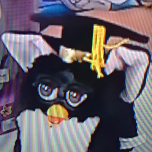 creator the cursed furby😈😈's avatar