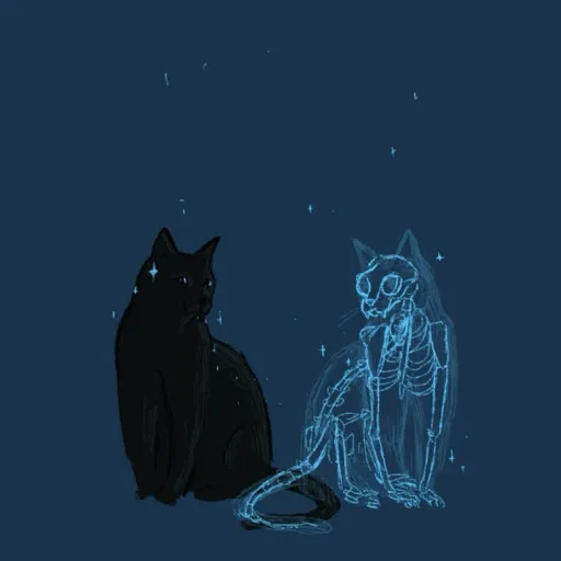 creator •the villian?•'s avatar