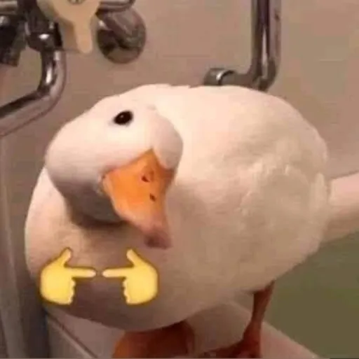 creator 🦆ducky🦆's avatar