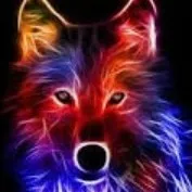 creator ~ß~'s avatar