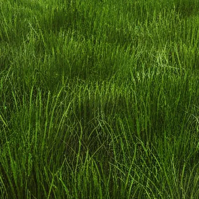 chat with ai character: Touch grass bro💀