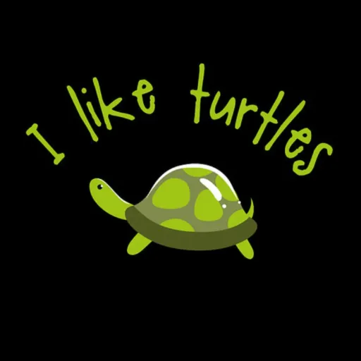creator turtlerule_857's avatar
