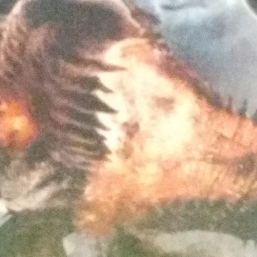 creator dragonforgedinfire's avatar