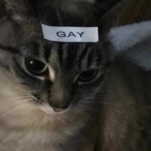 creator LeonardoDaVink's avatar