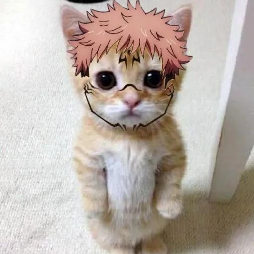creator •Sakuna•'s avatar