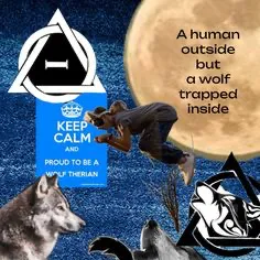 creator Wolf_lover666's avatar