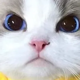 creator weird dog's avatar