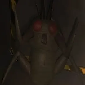 creator YIPPEE BUG 🎉🎉's avatar