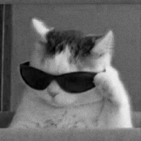 creator Luckie_cat's avatar