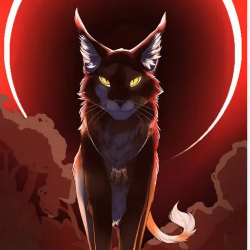 creator Talkior-xqpSzymG's avatar