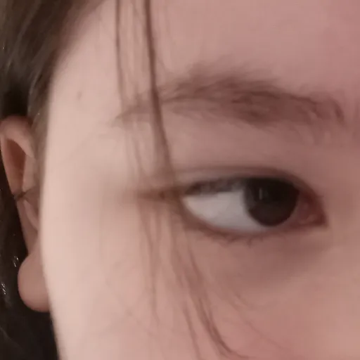 creator bountiful.wren's avatar