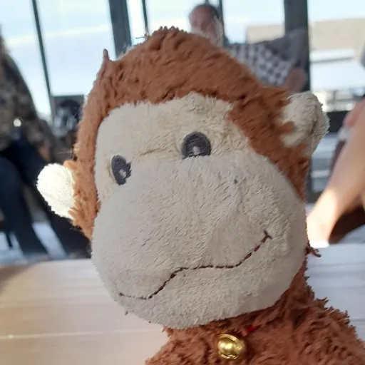 creator monkey24/7's avatar