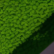 chat with ai character:  go to touch grass