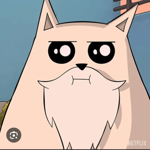 creator God.cat's avatar