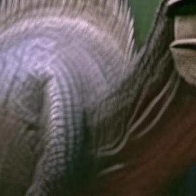 chat with ai character: Spino 