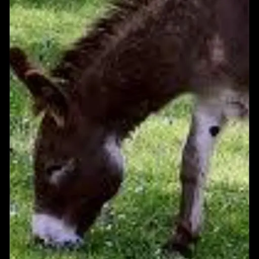 creator preppy_✨✨'s avatar