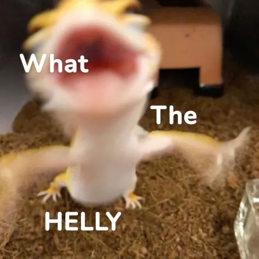 creator What the helly??'s avatar