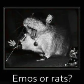 creator Emo.sigma.rat's avatar