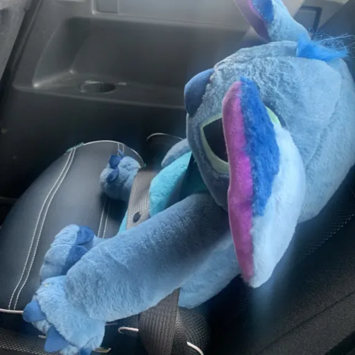 creator Princessstich's avatar