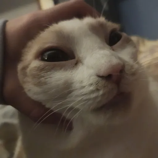 creator Ava8162's avatar