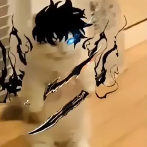 creator Sung Cat Woo's avatar