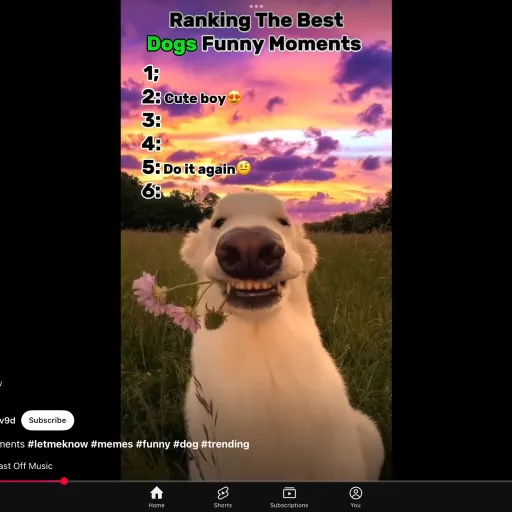 creator His name is Scooby's avatar
