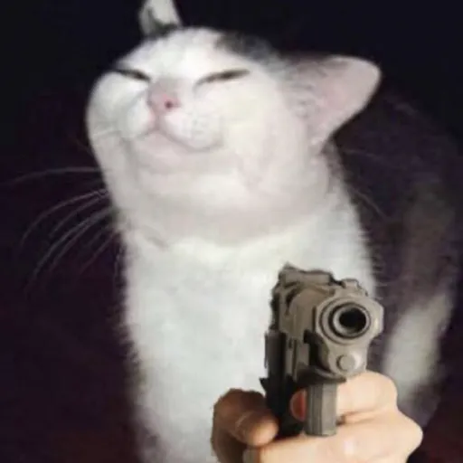 creator Cat with Gun's avatar