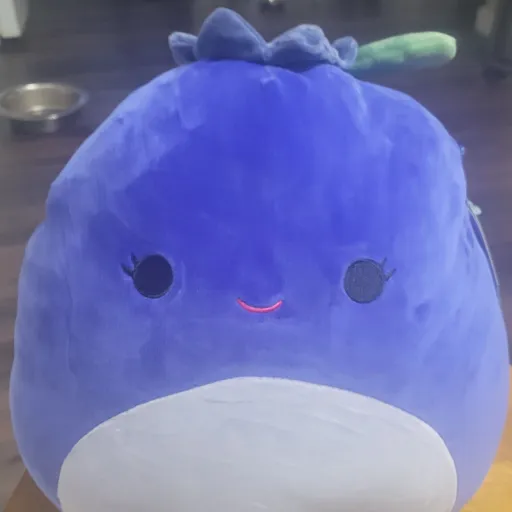 creator Blubby😃's avatar