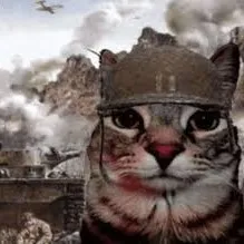 creator FreewayWar's avatar