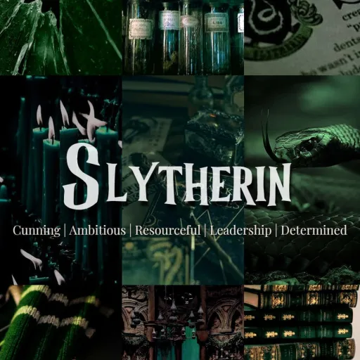 creator 💚Slytherin girl💚's avatar