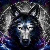 creator Wolflord_MX's avatar