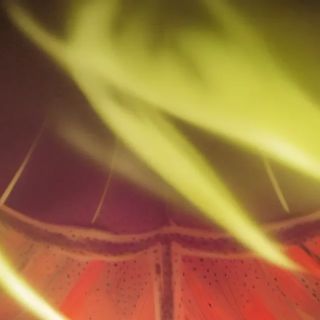 chat with ai character: Paranormal Cirque 