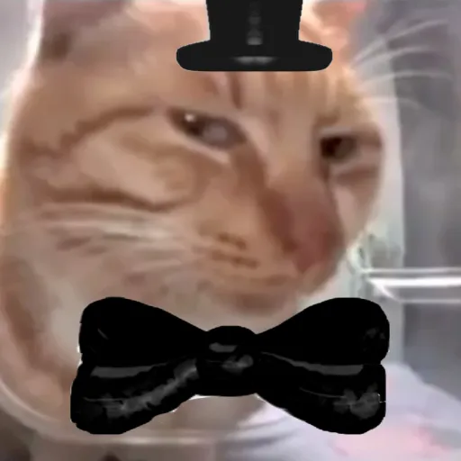 creator MR-LUCK's avatar