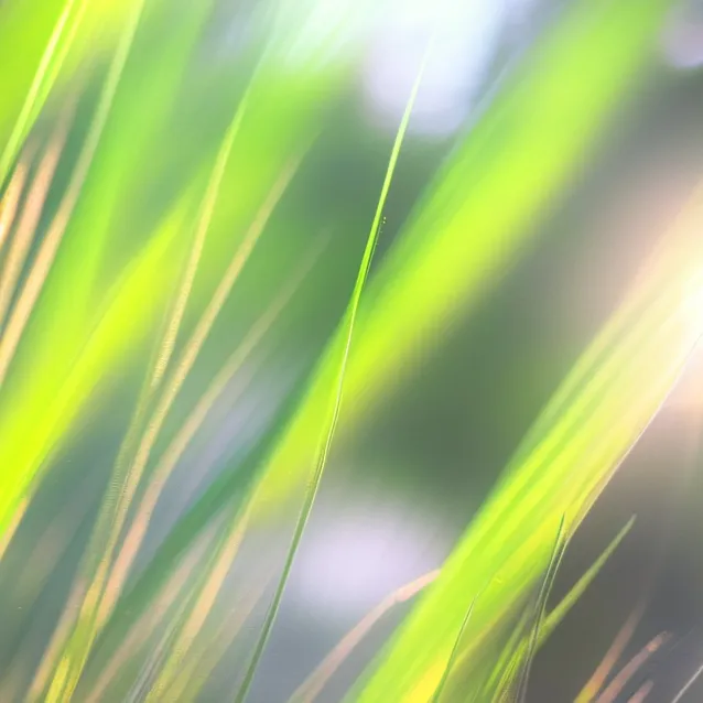 chat with ai character: grass2.0