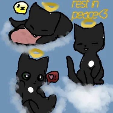 creator (\**spring**/)'s avatar