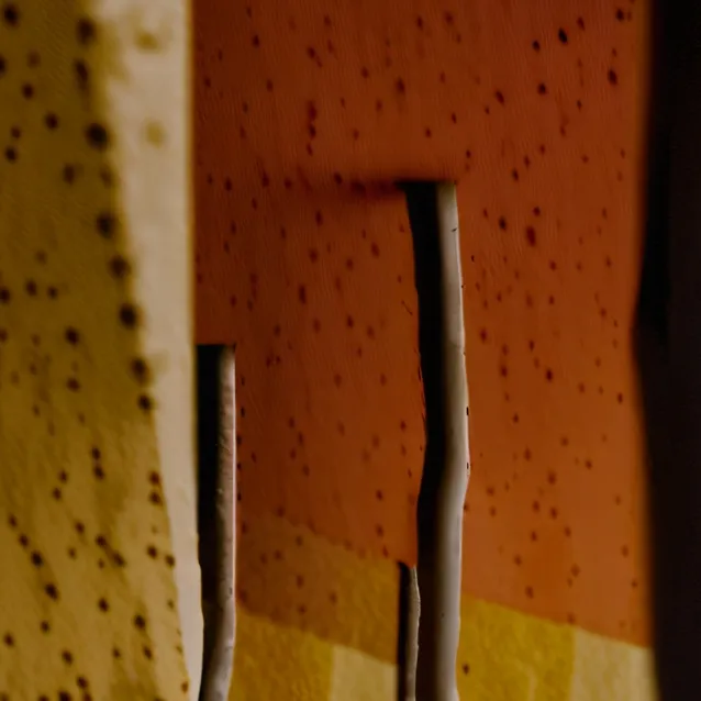 chat with ai character: t5