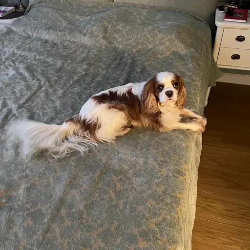 creator nash's's avatar