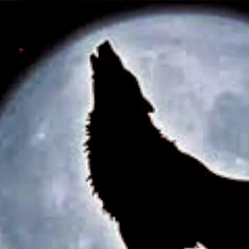 creator bloodhound_'s avatar