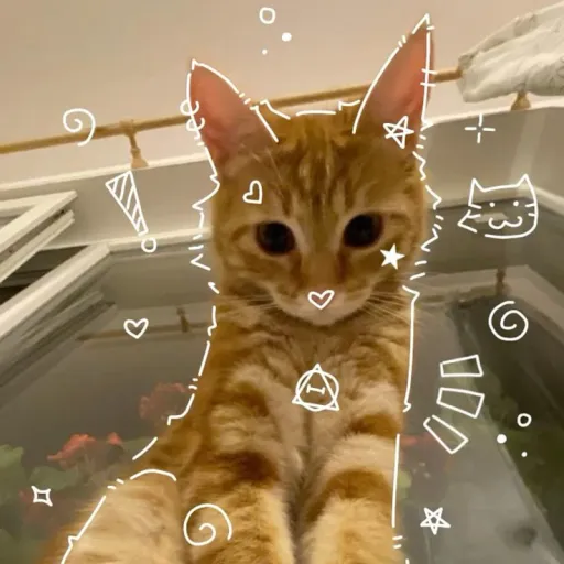 creator ◇𝒯𝒽𝑒𝒞𝓇𝒶𝓏𝑒𝒹𝒪𝓃𝑒◇'s avatar