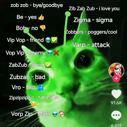 creator vip vop's avatar